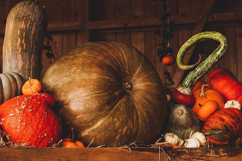 Sweater Pumpkins